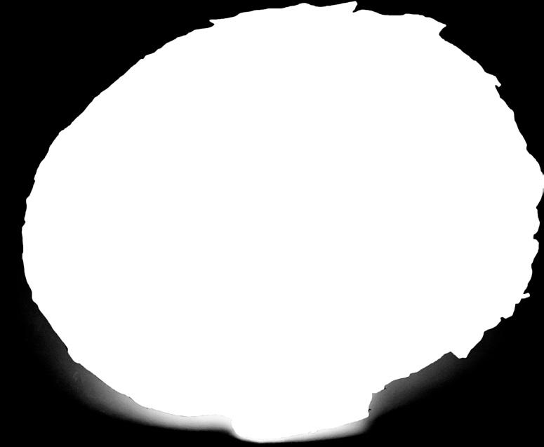 fotók