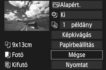 wnyomtatás A épernyő megjelenése és a beállítási opció a nyomtatótól függően változna. Lehet, hogy néhány beállítás nem áll rendelezésre. A részleteet lásd a nyomtató ezelési éziönyvében.