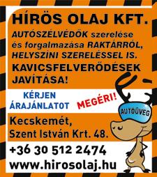 Úgy gondoltuk, hogy ezzel a számmal, terjesztési körünket kiszélesítve, havi egy alkalmas megjelenéssel útjára bocsájtjuk Vidéki Infó