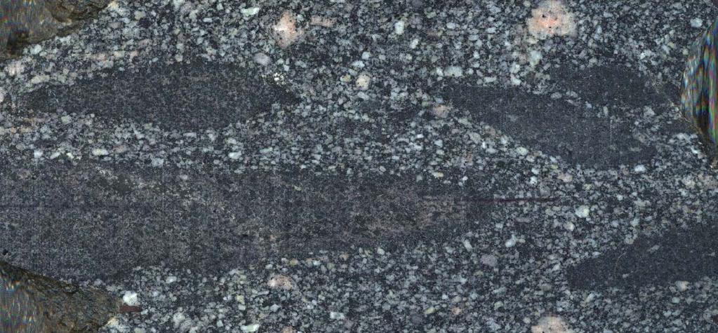 Elnyúlt melanokrata zárványok A monzogránitban minden fúrásban előfordulnak erősen elnyúlt melanokrata monzonit zárványok (BUDA 1999, BALLA et al. 2003a, MAROS et al. 2003b), (20. ábra).