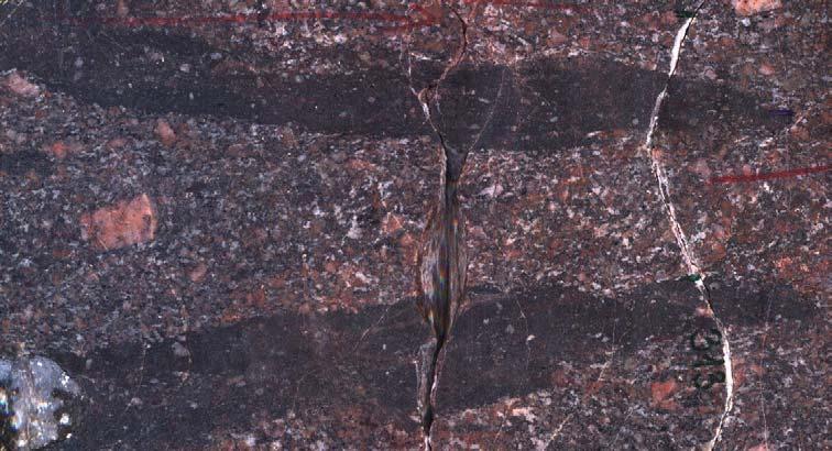 32. ábra A palásság síkjába beforgatott, lapított monzonit zárvány (Üh 22: 270,0 m) 5.2.4.