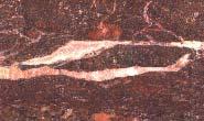 1998). A sorozatra sík fektethető. A kulisszák rendszerint karbonáttal vannak kitöltve (51. ábra). 49.