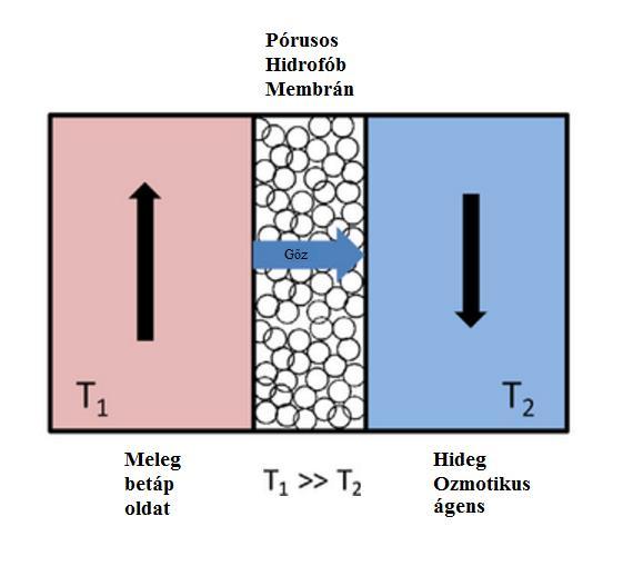 jól alkalmazható gyümölcslevek kíméletes töményítésére (Lawson & Lloyd, 1997; Kozák et al., 20