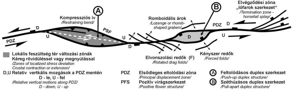 Mindkét szerkezet vetőgeometriája jól definiálható, és belső felépítése utal a PDZ menti horizontális elmozdulás (rövidülés/széthúzás) mértékére. 4.13.