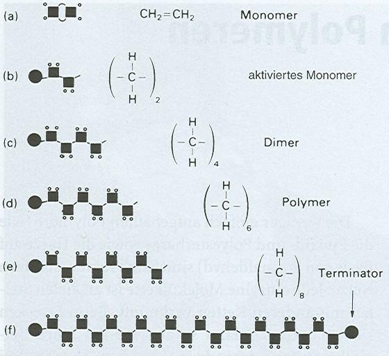 Etilén szerkezete Polimerizálásra előkészített, aktivált monomer Dimer = Két összekapcsolódott monomerből