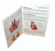 TESTÜNK, EGÉSZSÉGÜNK MD0111 LER3334