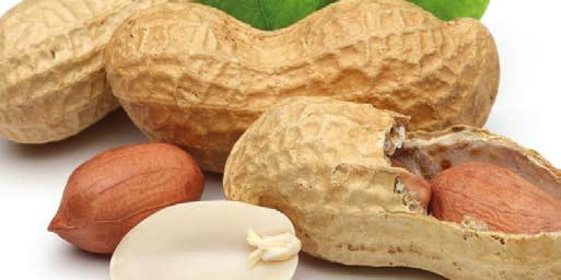 földimogyoró 170g