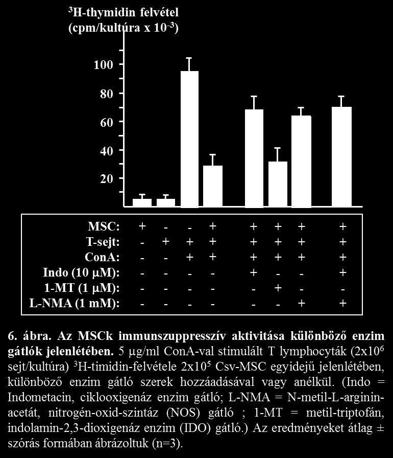 2.3. Az MSC-k prosztaglandin E2 (PGE2) termelése aktivált T sejtek jelenlétében A fenti eredmények és korábbi irodalmi adatok [44, 81] együttes figyelembe vételével a továbbiakban a Csv- és Zs-MSC-k