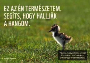 Tagság és országos helyi csoporthálózat Az egyesület számára kiemelten fontos, hogy tevékenységünk minél szélesebb körű figyelmet kapjon.