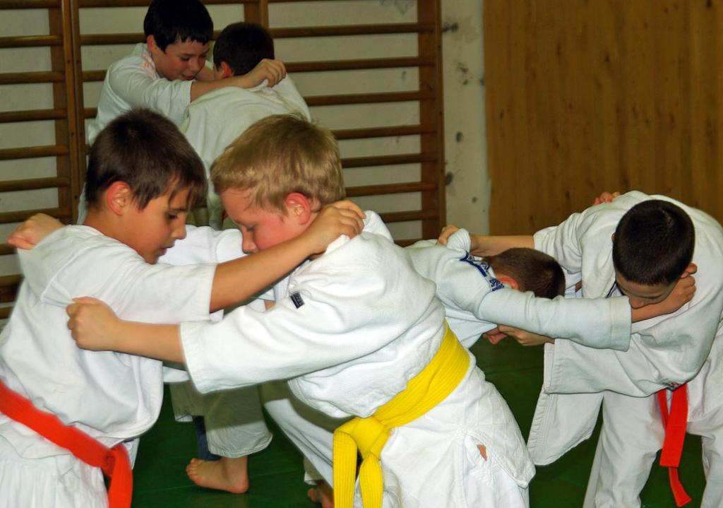 JUDO SZAKOSZTÁLY 12 A Szolnoki Sportcentrum Nonprofit Kft. Judo Szakosztálya teljesítette célkitűzéseit ez évben is.