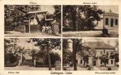 Erdőcsokonya (C