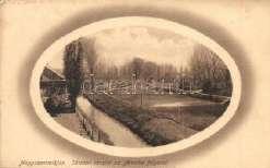 1899 Nagyszebe n,