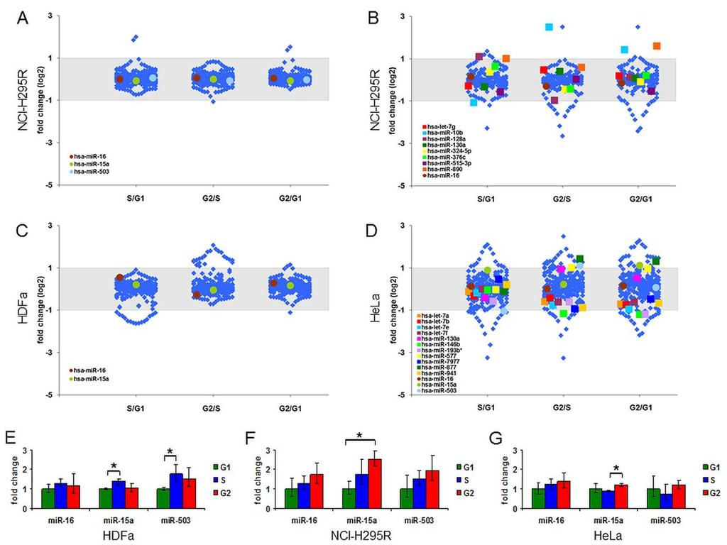 Ezzel szemben, négy, a nagy áteresztőképességű méréseken stabil expressziót mutató mirns expressziójának egyedi qrt-pcr assay-kel történő mérése megerősítette ezen mirns-k sejtciklustól független