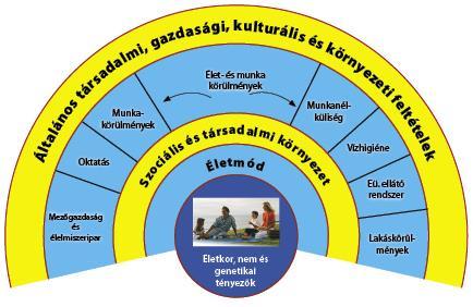 2. ábra Általános társadalmi, gazdasági, kulturális és környezeti feltételek Forrás: Az egészség fogalma és determinánsai 1 2.2.4.