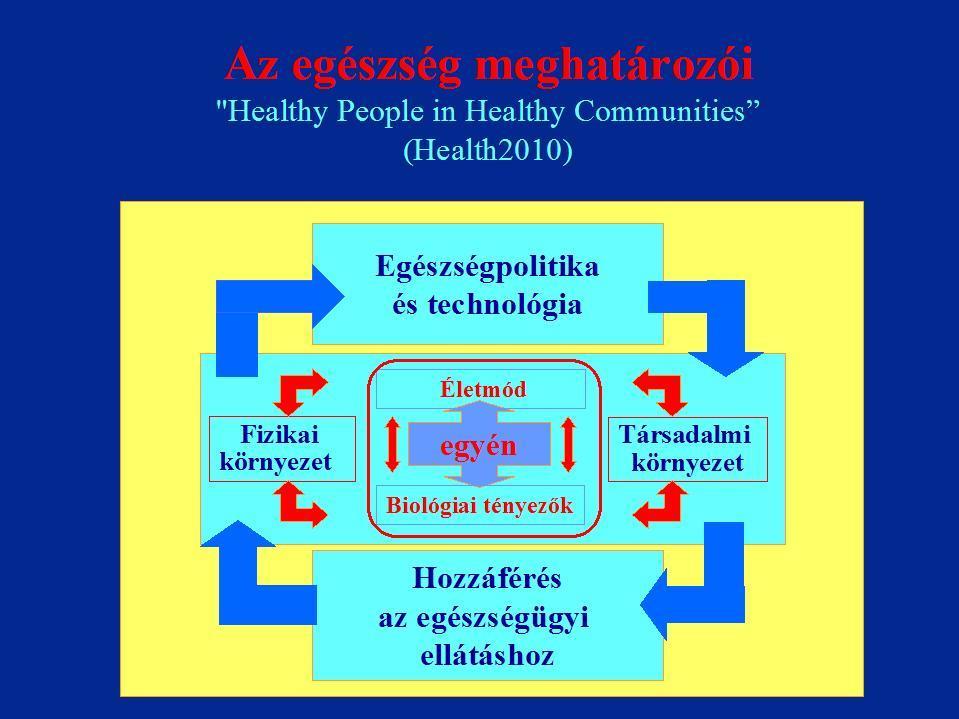 1. ábra Az egészség meghatározói Forrás: Az egészség fogalma és determinánsai 1 2.2.3.