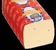 SAJTOK 53.