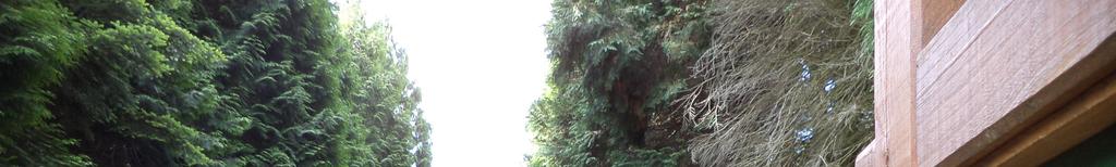 Arborétum - Agostyán Az Alba Regia SC Természetjáró Szakosztály 2017.