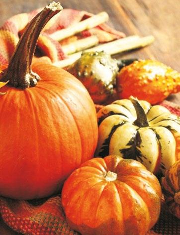 1 november A MUNKÁCSY MIHÁLY MŰVELŐDÉSI