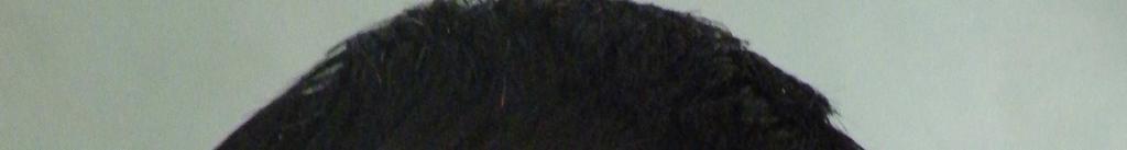 5. ábra