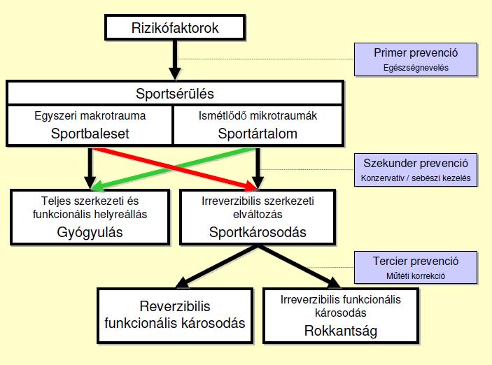 is, míg a tercier prevenció a visszafordíthatatlan funkcionális károsodásnak az elkerülését célozza.