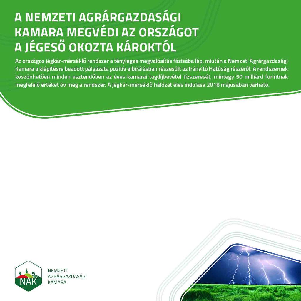 Hol lesznek a generátorok? A talajgenerátorokat egy 10x10 kilométeres rácsháló rácspontjaihoz illesztve helyezzük el.