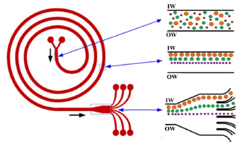 separation Microfluid Nanofluid (2014) 17:1