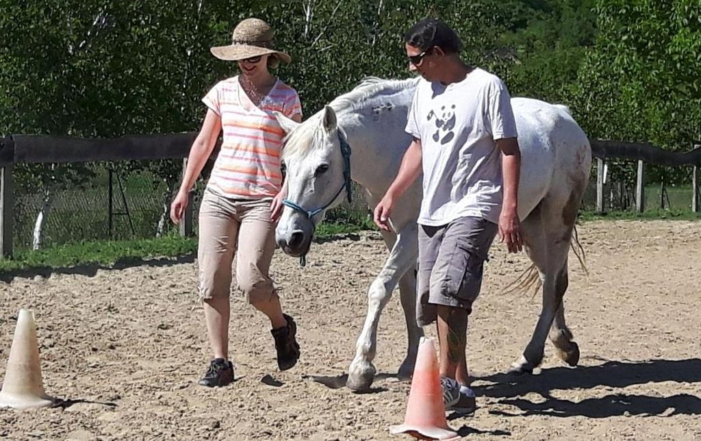 csapatépítő célok esetén a terelés során felszínre kerülnek a rendszer működési sajátosságai, lehet dolgozni a