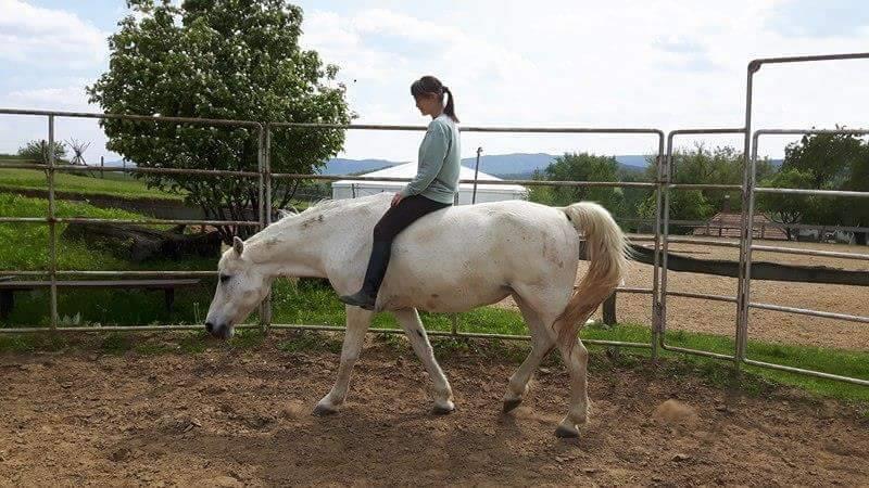 Mikor ülünk mégis lóra? ha földről már mindent megdolgozott a lóval, bízik, nyugodt, magabiztos, párbeszédre képes és ugyanezt szeretné megtapasztalni a ló hátáról.