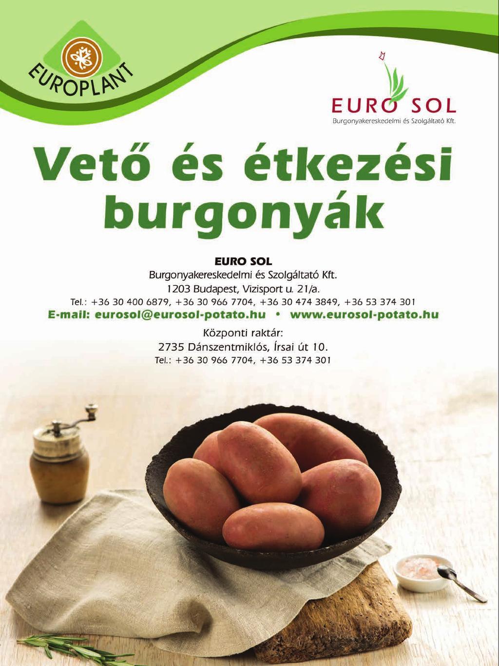 lds beszélgetést folytat