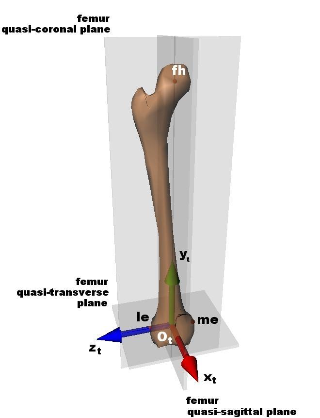 2.Szakirodalmi áttekinté femur kvázicoronali ík fh yt femur kvázitranverzáli ík zt lepi mepi Ot femur kváziagittáli ík xt 2.22. ábra: Femur anatómiai koordináta-rendzere (Hilal et al.