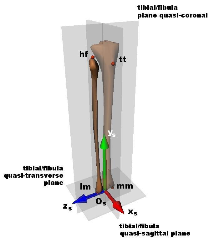 2.3.Kinematikai leírá módzerei: az anatómiai koordináta-rendzerek tibia/fibula kvázicoronali ík hf tt y tibia/fibula kváziagittáli ík tibia/fibula kvázitranverzáli ík lm z mm O x 2.23.