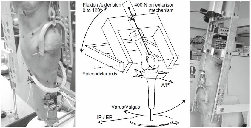 2.Szakirodalmi áttekinté Nylon huzal Vízzinte plexi rúd Mozgatható plexi keret Plexi rúd Iotrak II érzékelő Femur Tibia Cukló Iotrak II jeladó Munkaaztal 2.26. ábra: Wilon et al.