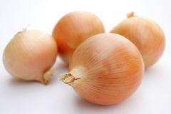 petrezselyem, zeller,
