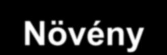 A zöldségfélék talajállapot igénye és a műveléssel szembeni elvárások 2.