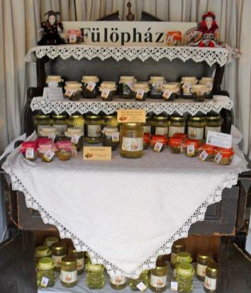 2010 Fülöpháza Nagyné Balogh Csilla polgármester Kulturális műsor: (kisszínpad, Kálvin tér)