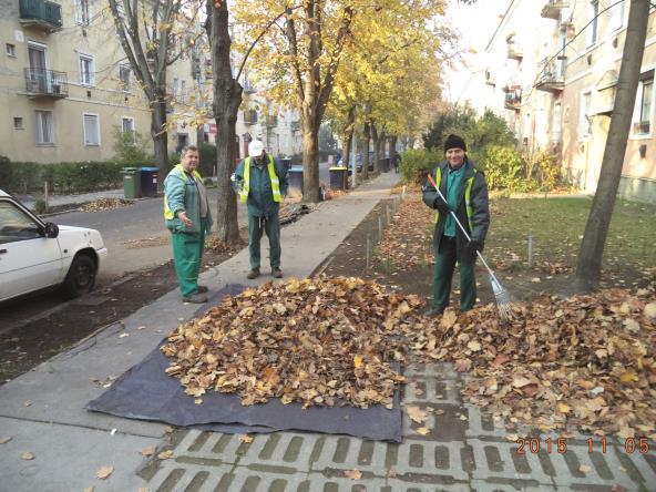 Parkfenntartási részleg (65 fő) Szolgáltatási