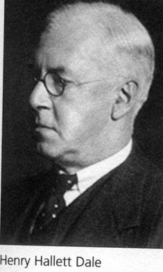 GASKELL 1847-1914