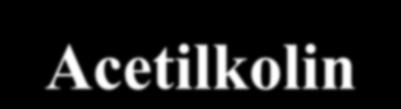 Acetilkolin VIP Postganglionáris