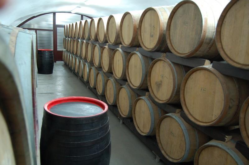 BORÁSZATI MIKROBIOLÓGIA Kevésbé ellenőrizhető, nehezebb, mint a sörgyártás A must és a bor minőségében nagy szerepet játszanak a szőlőfajták tulajdonságai,