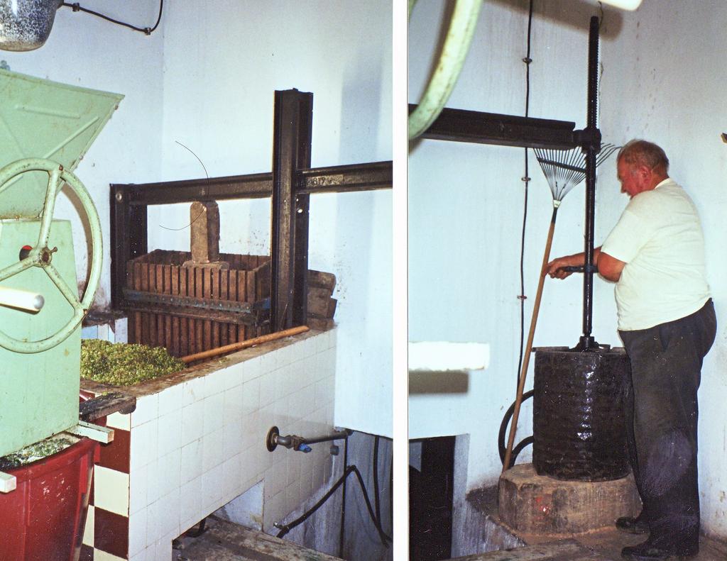 39. kép Betonozott-csempézett melencéjű, lécgaratos, vas idomokból álló, lengőorsós prés (Bacónaki-hegy, SIMON András felv. 2000.) A 37.