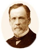 Louis Pasteur (1822-1895) Tudományos, kísérletező mikrobiológia megalapítója Pasztörizálás