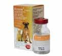 Butorfanol Bupredine oldatos injekció 10 ml Posztoperatív fájdalomcsillapítás kutyáknak, macskáknak, lovaknak.