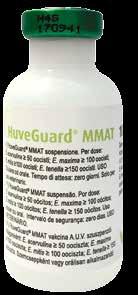 termékkép illusztráció! HuveGuard MMAT &HuveGuardNB vakcina A.U.V.