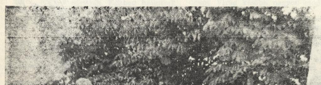 63 Szintén egy közelebbről nem ismert, de emlékében fennmaradt eseményről tudósít Móricz 1939-ben Leszih Andornak Miskolcra írott levele.