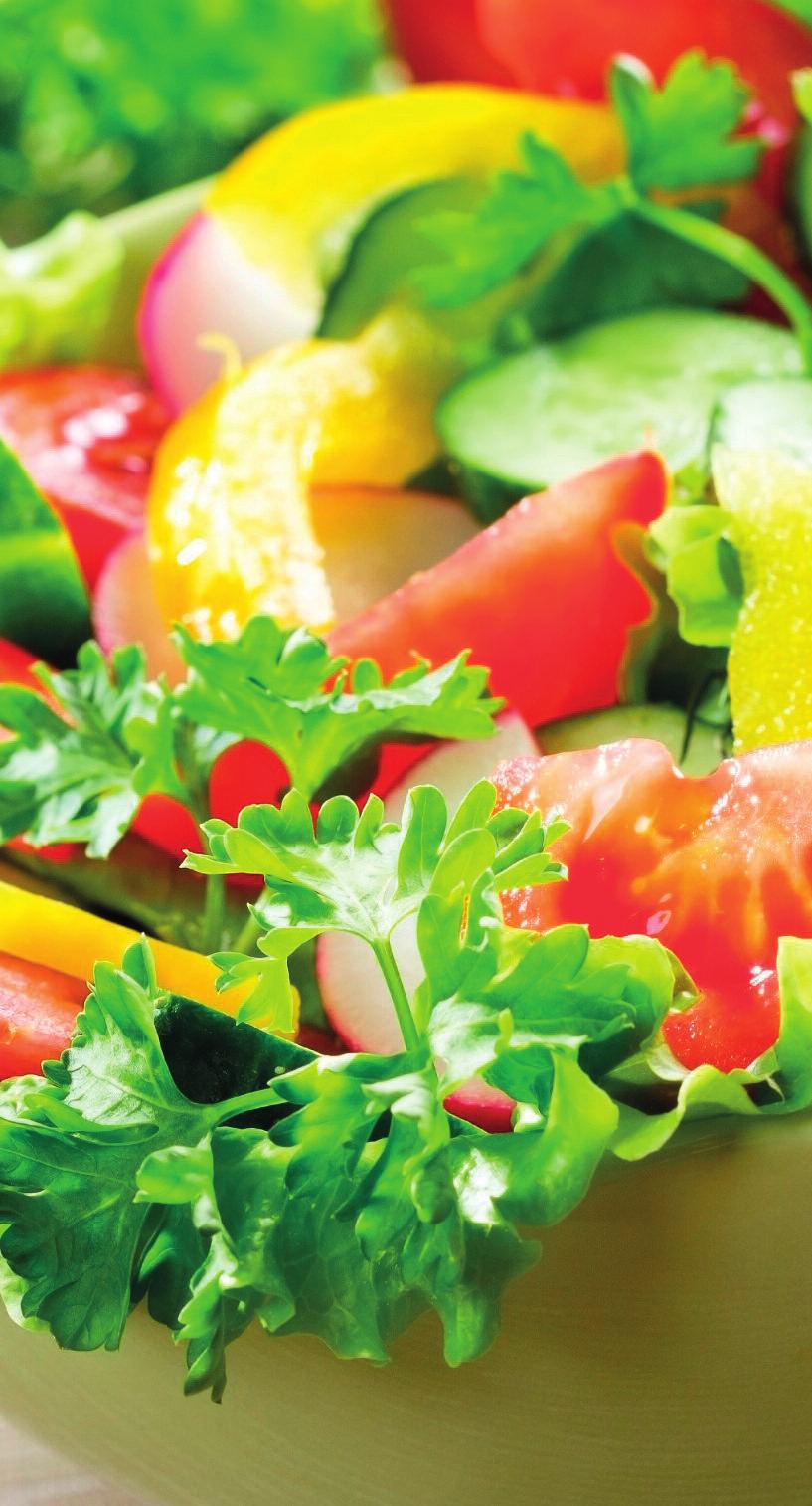 Fitness és vegetáriánus ételek Saláták FiTneSS Und VegeTAriSCHe gerichte SALATen FiTneSS And VegeTAriAn dishes SALATS piatti FiTneSS e VegeTAri insalate FreSCA Norvég lazacsaláta (jégsaláta, rucola,