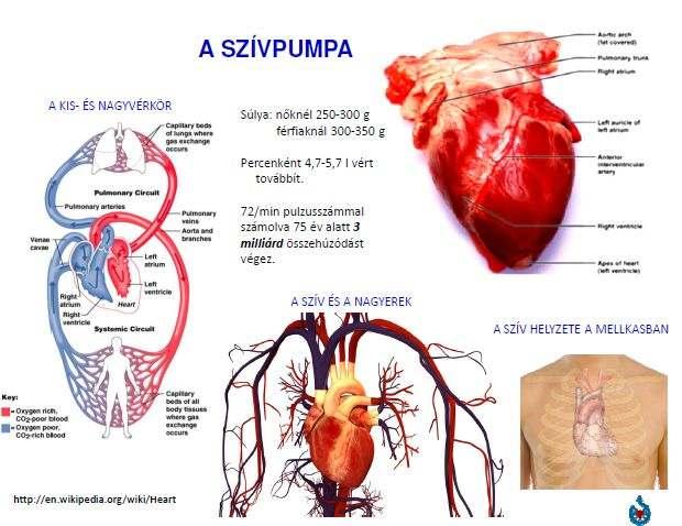 alacsony szívnyomás hipertóniával ázsiai szív állapotfelmérés