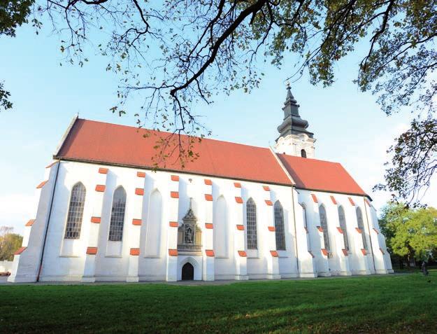 gyógyhatású vizet először palackozó vállalkozó, Patzauer Dezső lányát hívták nnának, az ő emlékét őrzi a fürdő.