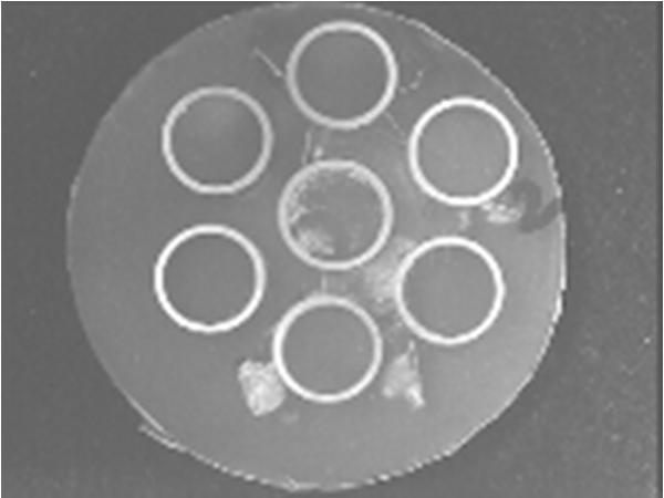 Ezzel a kerülettel a burkolat eredeti 65 mm 2 -es keresztmetszete 200 mm 2 -re