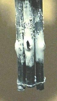 keresztmetszet a VVER-440 kazettákban kb.