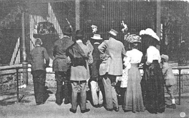 először életemben. (...) Aztán az indus tábort néztük meg; ami nagyon érdekes volt. Ügyes emberek, de nagyon véznák meg aztán a fülük csúnya. 862 64. kép - A Budapest Székesfővárosi Állatkert.